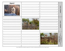 Leporello-Gepard-1-2.pdf